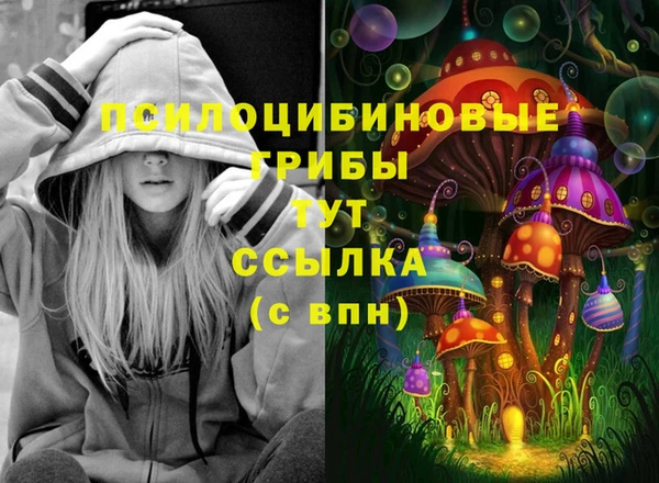 не бодяженный Осташков