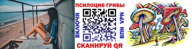 Галлюциногенные грибы прущие грибы  KRAKEN как зайти  Куртамыш 