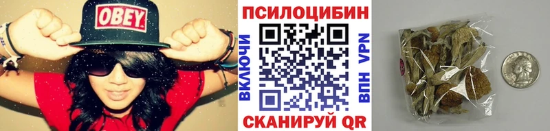 Псилоцибиновые грибы Cubensis Куртамыш